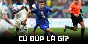 Cú đúp là gì